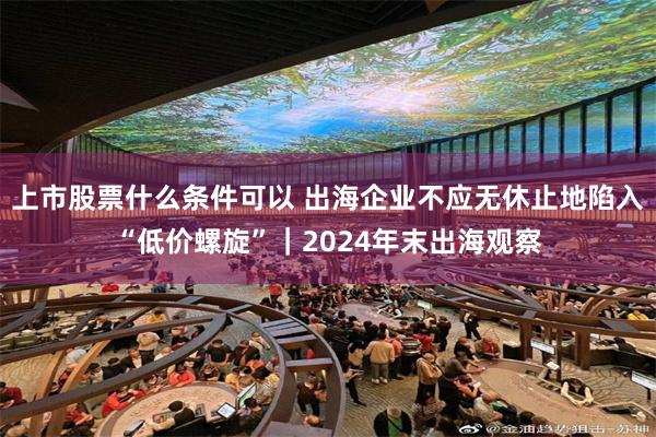 上市股票什么条件可以 出海企业不应无休止地陷入“低价螺旋”｜2024年末出海观察