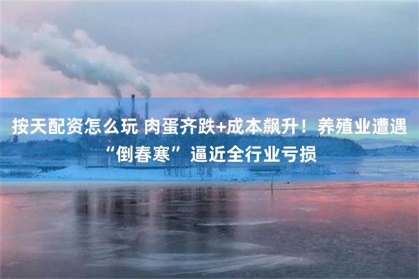 按天配资怎么玩 肉蛋齐跌+成本飙升！养殖业遭遇“倒春寒” 逼近全行业亏损