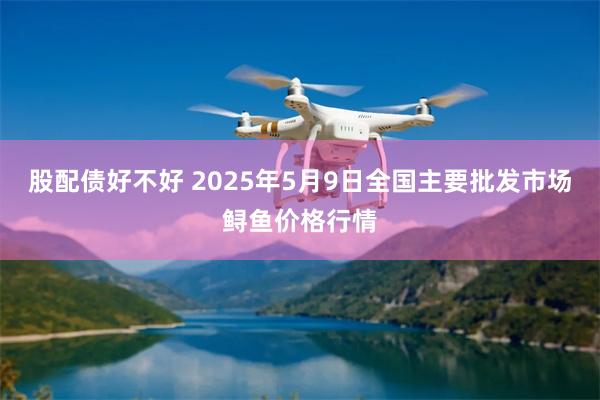 股配债好不好 2025年5月9日全国主要批发市场鲟鱼价格行情