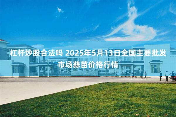 杠杆炒股合法吗 2025年5月13日全国主要批发市场蒜苗价格行情