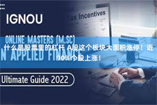 什么是股票里的杠杆 A股这个板块大面积涨停！近90%个股上涨