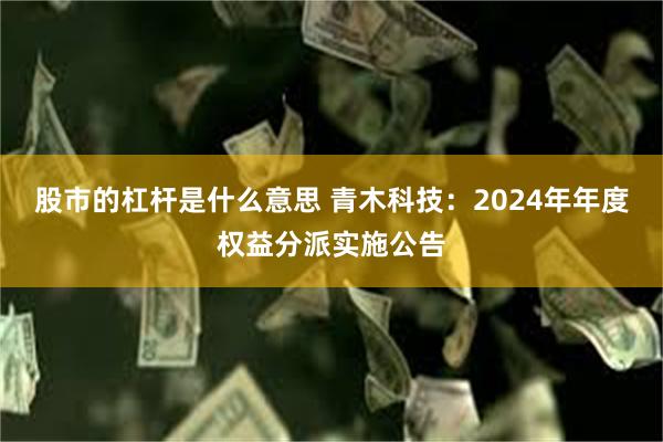 股市的杠杆是什么意思 青木科技：2024年年度权益分派实施公