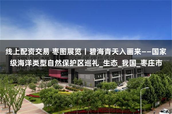 线上配资交易 枣图展览丨碧海青天入画来——国家级海洋类型自然保护区巡礼_生态_我国_枣庄市
