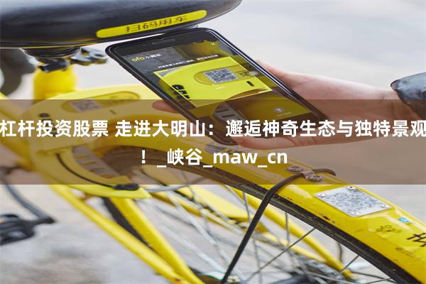 杠杆投资股票 走进大明山：邂逅神奇生态与独特景观！_峡谷_maw_cn