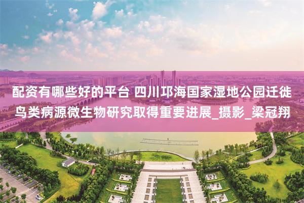 配资有哪些好的平台 四川邛海国家湿地公园迁徙鸟类病源微生物研究取得重要进展_摄影_梁冠翔