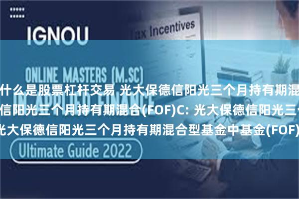 什么是股票杠杆交易 光大保德信阳光三个月持有期混合(FOF)A,光大保德信阳光三个月持有期混合(FOF)C: 光大保德信阳光三个月持有期混合型基金中基金(FOF)托管协议