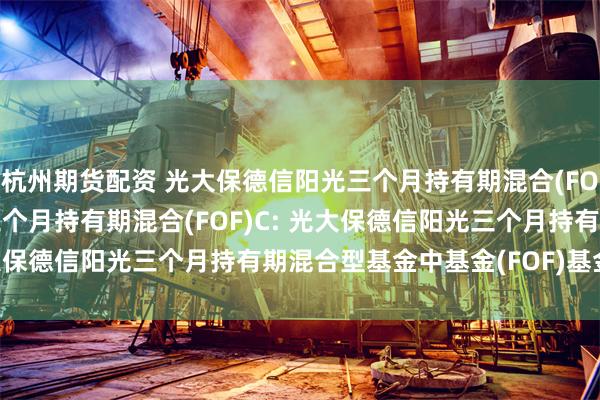 杭州期货配资 光大保德信阳光三个月持有期混合(FOF)A,光大保德信阳光三个月持有期混合(FOF)C: 光大保德信阳光三个月持有期混合型基金中基金(FOF)基金合同