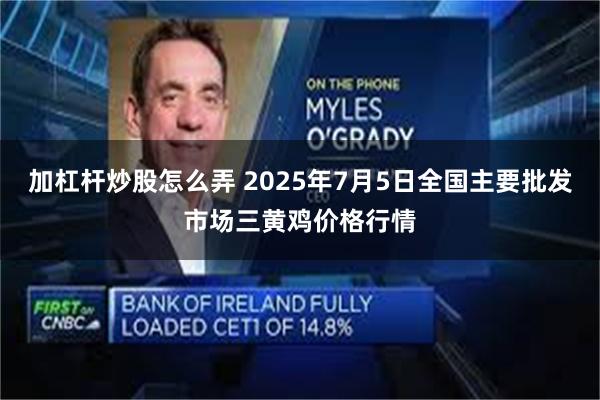 加杠杆炒股怎么弄 2025年7月5日全国主要批发市场三黄鸡价格行情