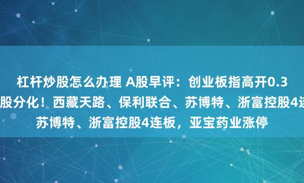 杠杆炒股怎么办理 A股早评：创业板指高开0.37%，雅下水电概念股分化！西藏天路、保利联合、苏博特、浙富控股4连板，亚宝药业涨停