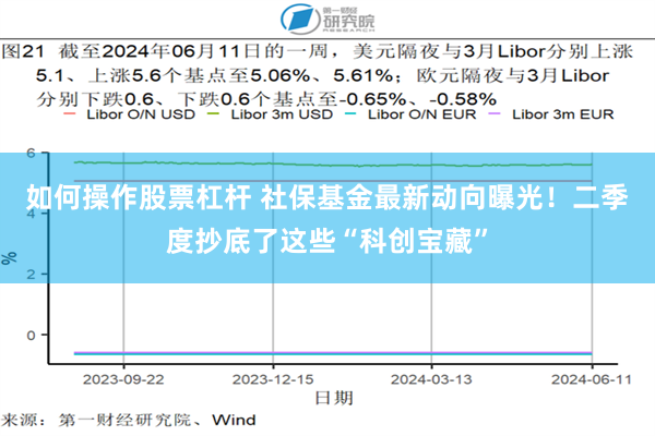如何操作股票杠杆 社保基金最新动向曝光！二季度抄底了这些“科