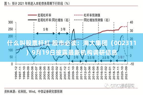 什么叫股票杆杠 股市必读：海大集团（002311）9月19日披露最新机构调研信息