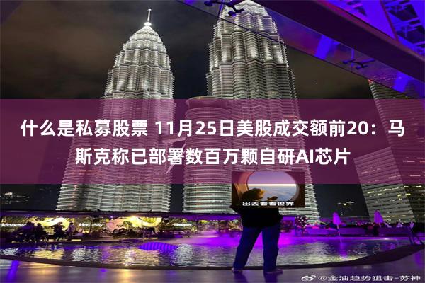 什么是私募股票 11月25日美股成交额前20：马斯克称已部署